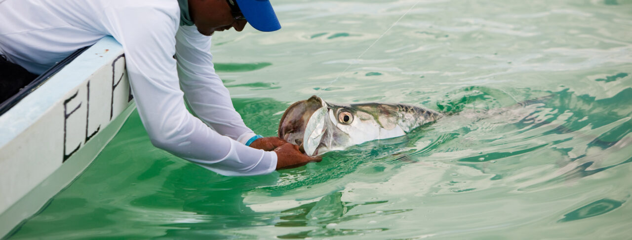 Fishing - Central & South America - Belize - El Pescador Lodge