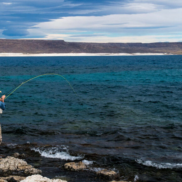 Fishing - Central & South America - Argentina - Estancia Laguna Verde Trout