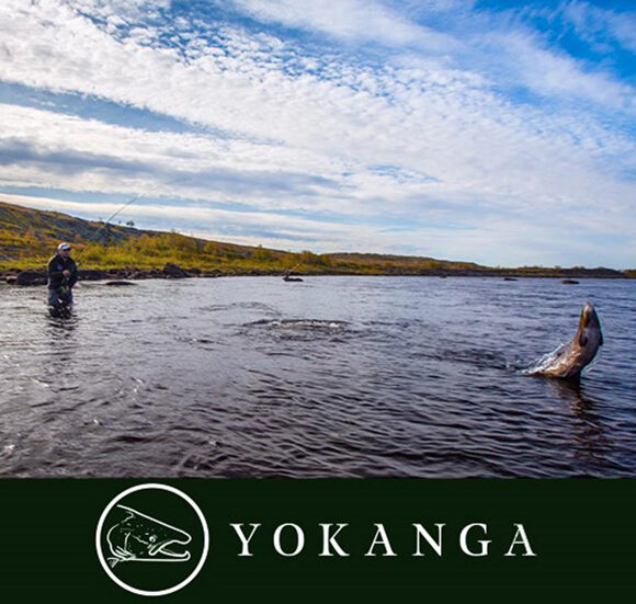 Yokanga River: Breaking News