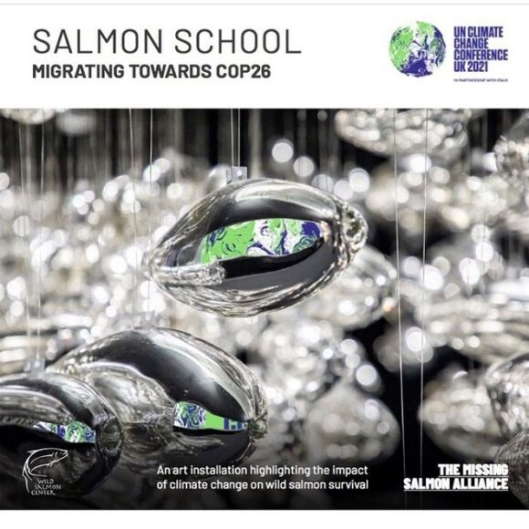 Salmon School, Migrating Towards COP26