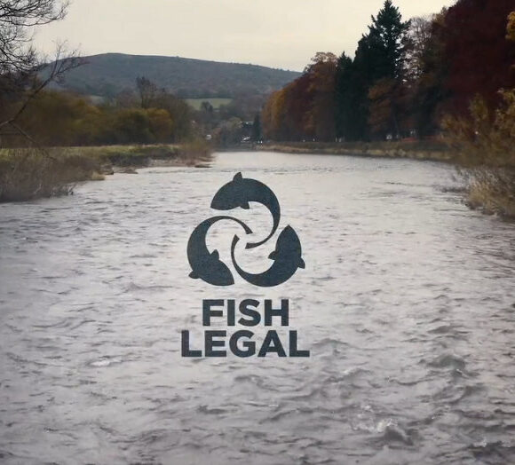 New Fish Legal Film