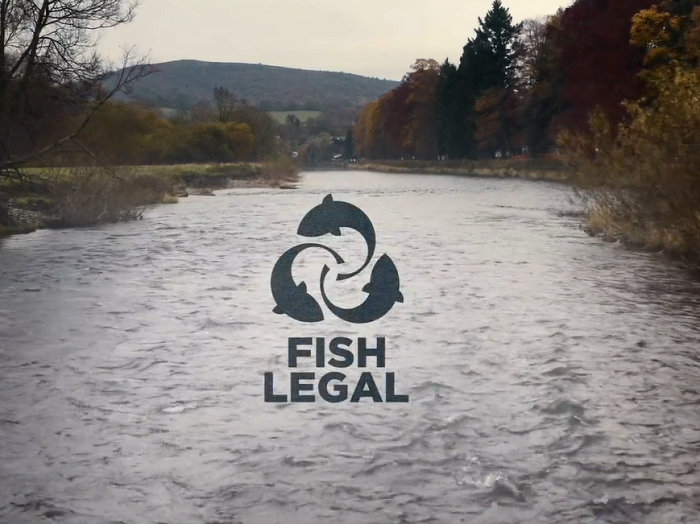 New Fish Legal Film